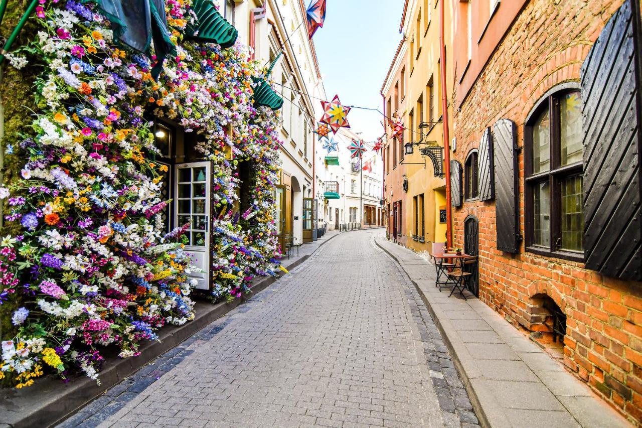 Apartment Old Town Wilna